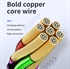 Picture of USB-C to Lighting 1.0m Cable