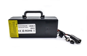 48V 16Ah Replace Battery for Citycoco Mini