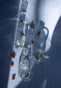 Picture of Women's most powerful secret weapon