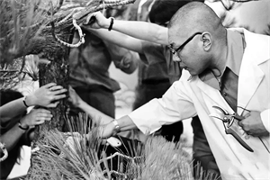 Show details for True Compassion and Stupid Compassion Picture of True Compassion and Stupid Compassion