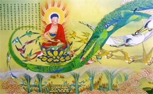 Show details for 极乐世界和娑婆世界的对比,何去何从? Picture of 极乐世界和娑婆世界的对比,何去何从?