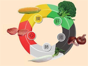 Picture of 中医食疗的主要观点