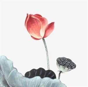 Picture of 《佛说：观无量寿佛经》考题测试