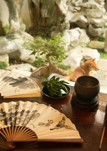 Show details for Those who study Buddhism are understanding human nature Picture of Those who study Buddhism are understanding human nature