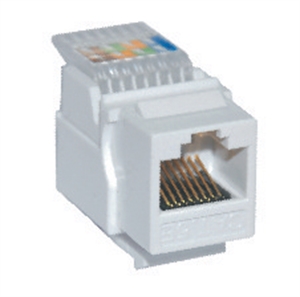 Show details for Keystone Jack Picture of Keystone Jack