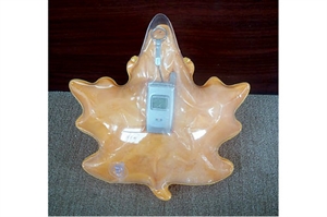 Image de Inflatable Mobile Holder