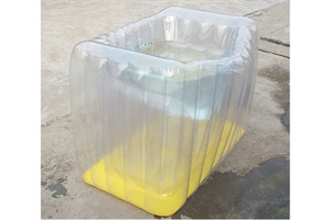 Picture of Others Inflatables for House