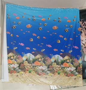 PVC and EVA Rain Wear