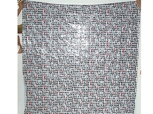 Image de PVC and EVA Rain Wear