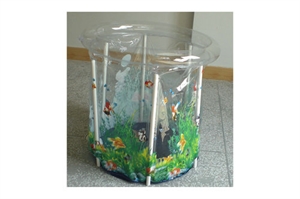 Image de Inflatable Pool