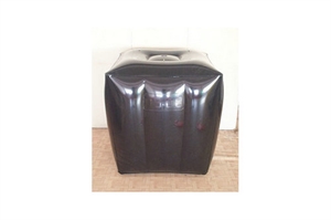 Image de Inflatable Cushion