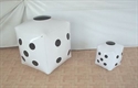 Image de Inflatable Dice