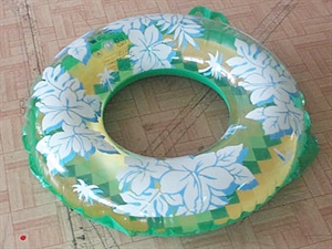 Swimm Ring の画像