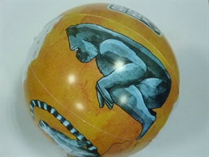 Изображение Beach Ball