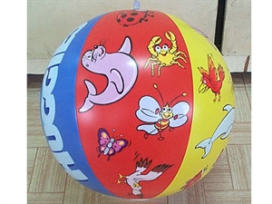 Picture of Beach Ball