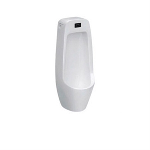 Picture of stall inductive urinal Fixing to wall with back