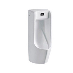 Picture of stall inductive urinal  Fixing to wall with back