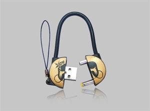 Picture of PSP3000 smart cable