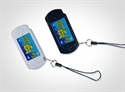PSP 2000 key ring(black and white