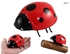 Image de 4-Channel Mini R/C Cartoon Ladybird 