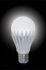 Lights & Lighting