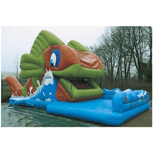 Inflatable bounce の画像