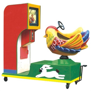 Image de mandarin duck