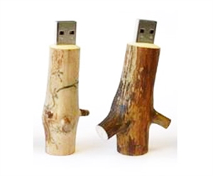 Picture of USB Flash Drive