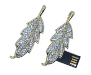 Image de USB Flash Drive