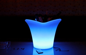 Image de Two beef ice bucket