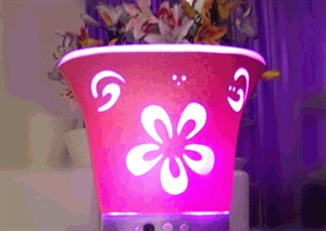 Picture of ice bucket