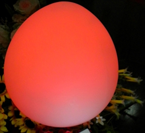 Image de Egg lamp