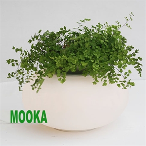 Picture of Biosfera Table Lamp