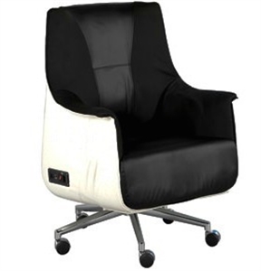 Image de leisure massage char