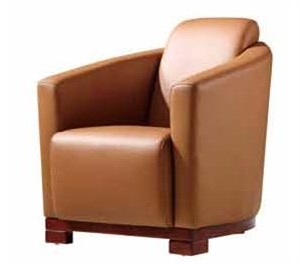 Picture of leather sofa chair