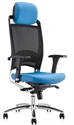 Picture of executive chair