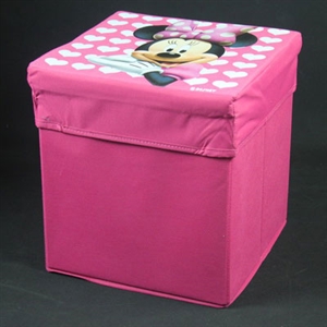 Picture of storage case