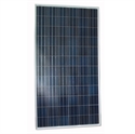 Picture of Poly Solar Panels