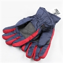 Image de Ski Glove