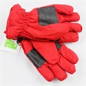 Image de Ski Glove