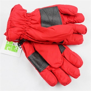 Image de Ski Glove