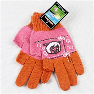 Picture of Gloves Set