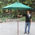 Picture of beach umbrella