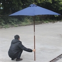 Picture of beach umbrella