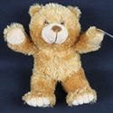 Picture of plush bear