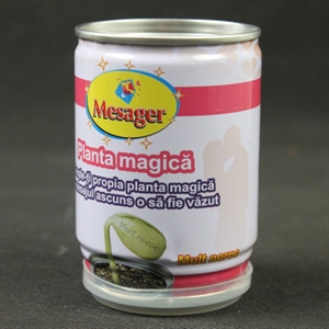 Picture of magic plant