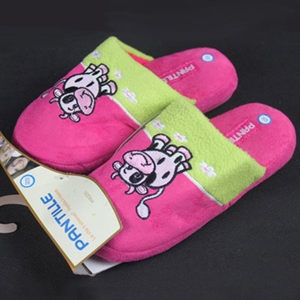 Изображение slipper