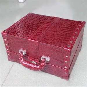 Image de Bulb Case for Europe