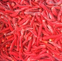 Image de Frozen Chilli