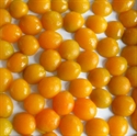 Image de Canned Apricot